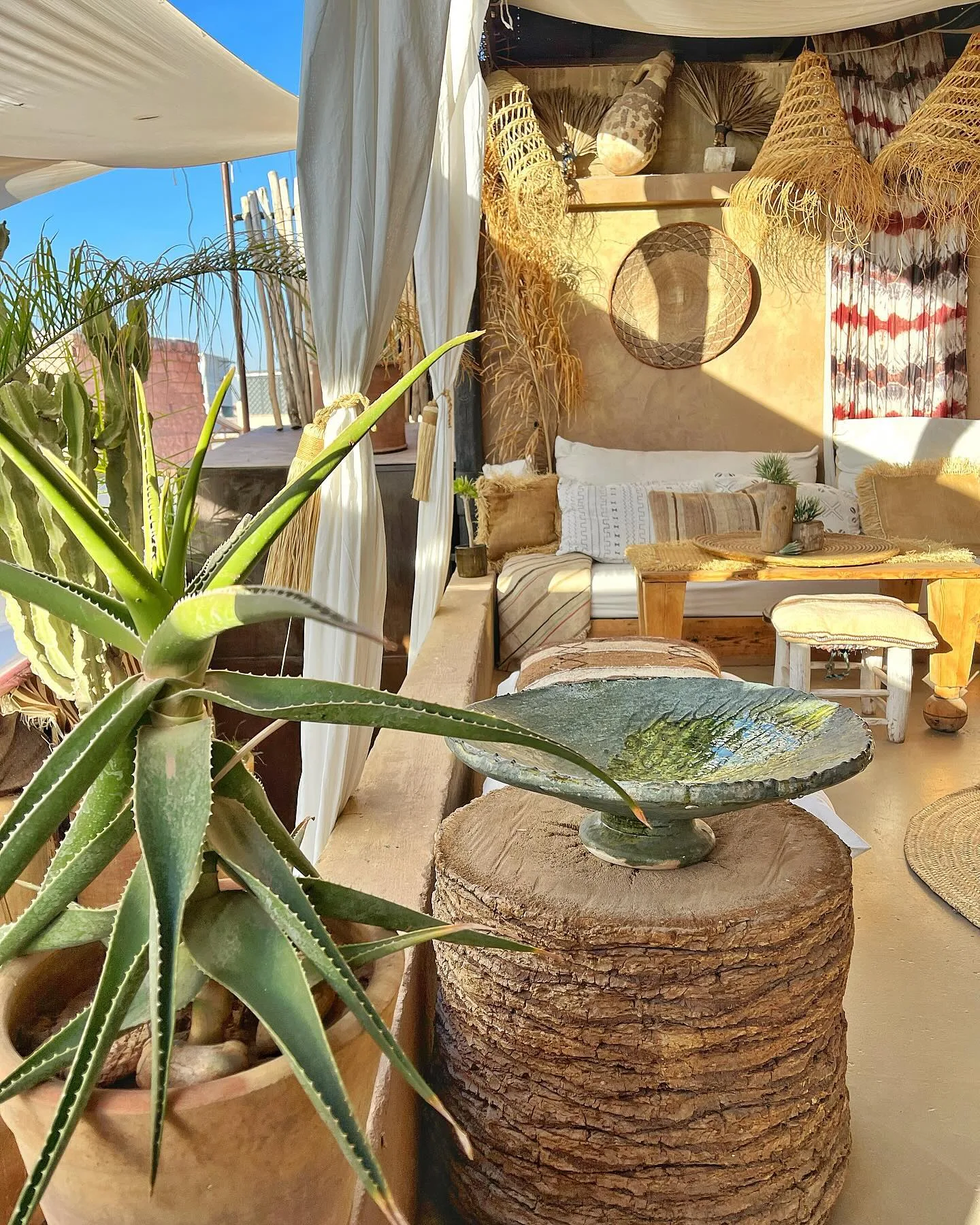 The sunlit rooftop salon: aloes, a green Tamegroute bowl on a palm-trunk stool