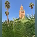 The Koutoubia minaret over the palm fronds of Marrakech