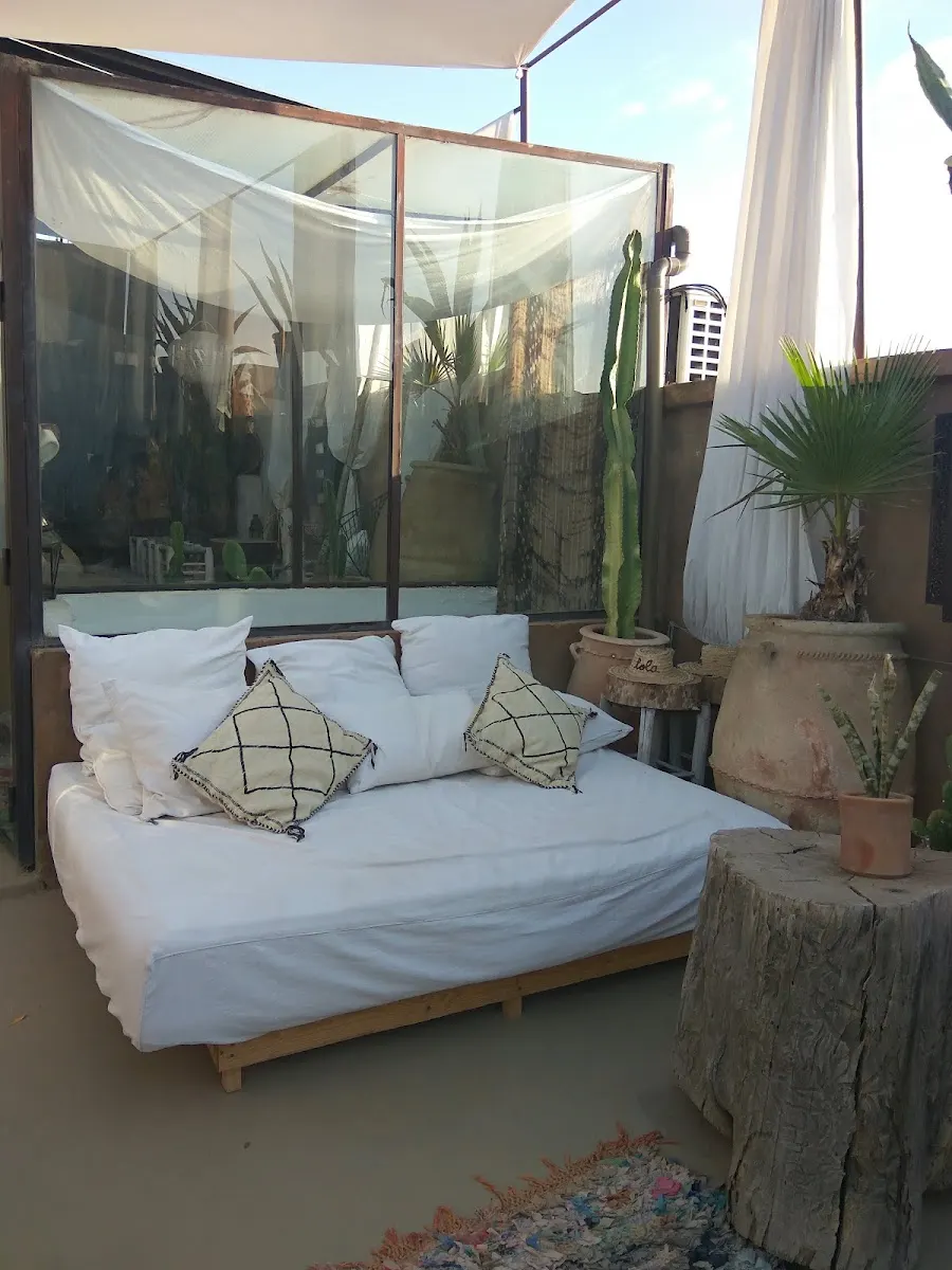 A white canopy bed beside tall cacti in terracotta pots